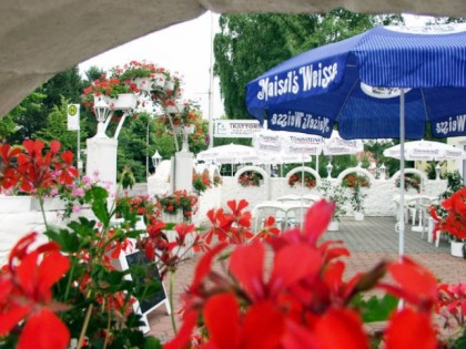 Foto: Trattoria